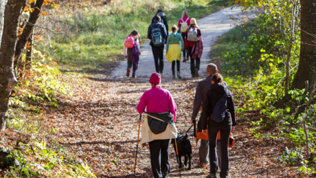 Menschen spazieren im Wald